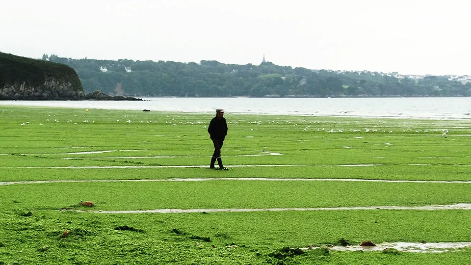 265054819-a1105764591f7dbafe2c3ecbbd7caf1bd23c56ceb990e961faff833a4ba3f4c9-d