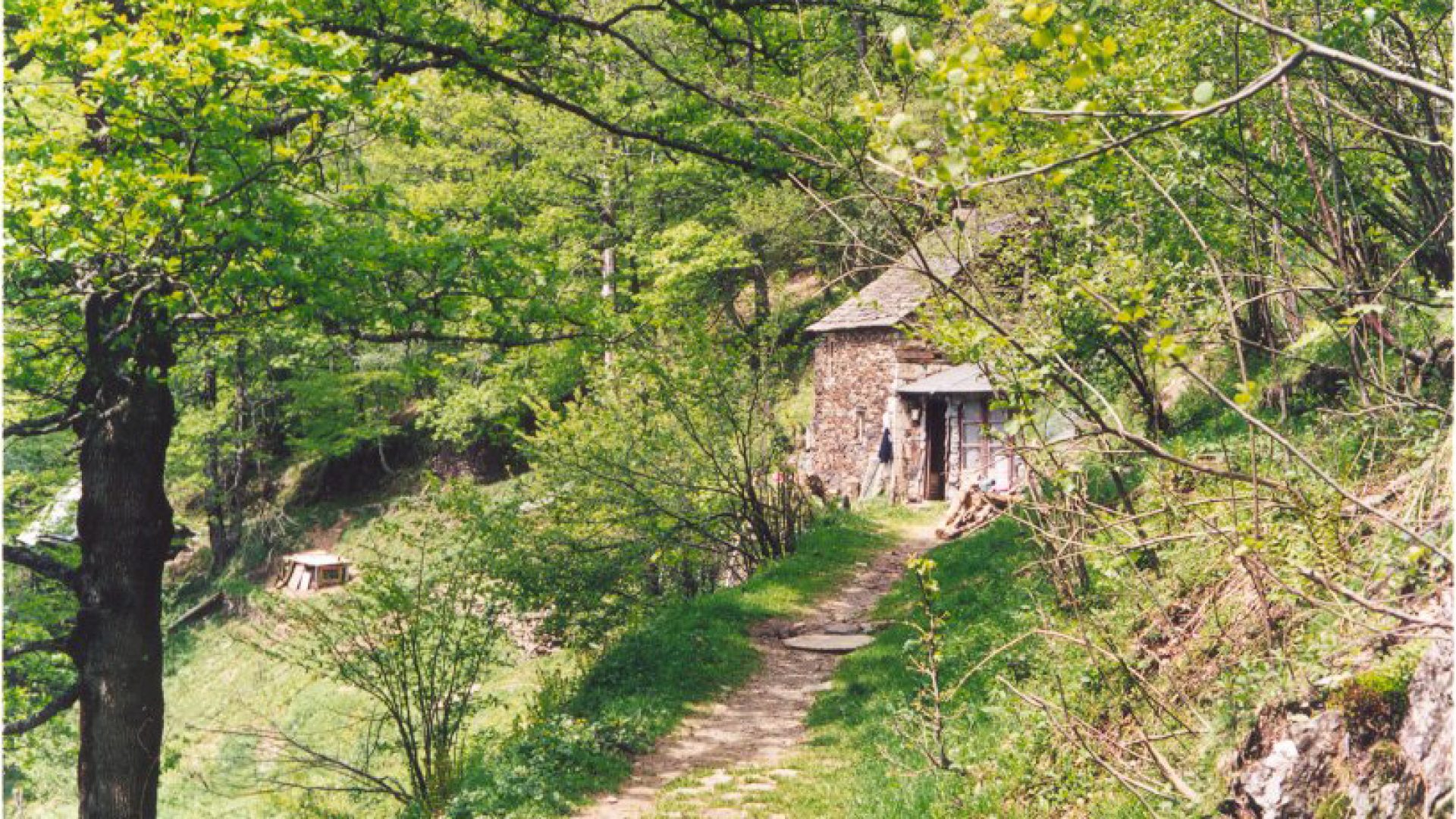 Derrière les arbres